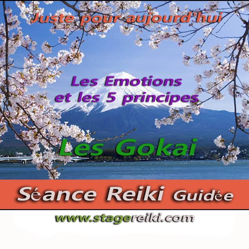 Séance Reiki les Gokai et les émotions 1