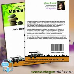 Manuel de REIKI 1 Ebook