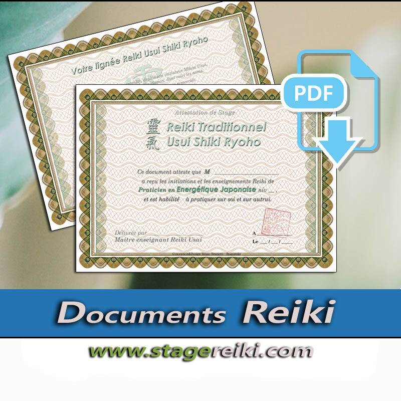 Attestation stage Reiki PDF Camel