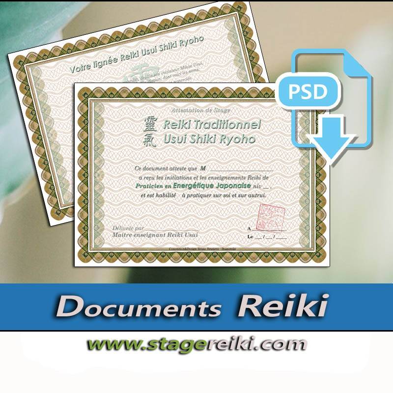 Template attestation stage Reiki PSD Camel