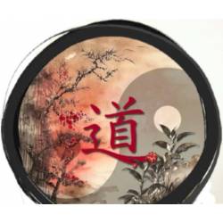 enregistrement mp3 meditation du tao