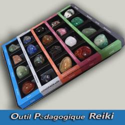 lithopack des 5 saisons